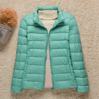 High turquoise collar