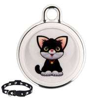 Gato 1
