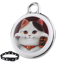 Gato 2