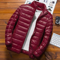 Wine red (collar style)